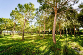 Agriturismo Bio San Mamiliano Grosseto